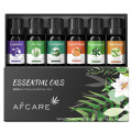 Private Label Massageöl Essential für Zimmer auf Lager-Ätherische Öl-Sets für Aromatherapie Diffusor Pflanzenblüten-Ätherisches Öl